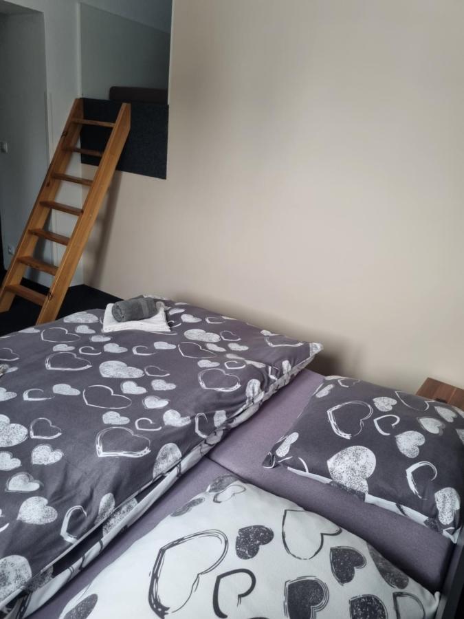 Pension Max Klinovec Loučná pod Klínovcem Buitenkant foto